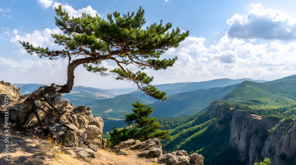 Fototapeta premium adversity. A resilient pine tree clinging to a cliff edge with strong roots. ESG reports, sustainability campaigns, designed for environmental awareness campaigns, promotes sustainability.