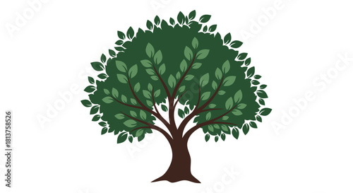 A vibrant illustration of a healthy green tree with a sturdy brown trunk and lush foliage, standing tall against a white background.