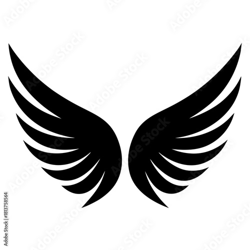 Illustration of a pair of symmetrical black wings on transparent background