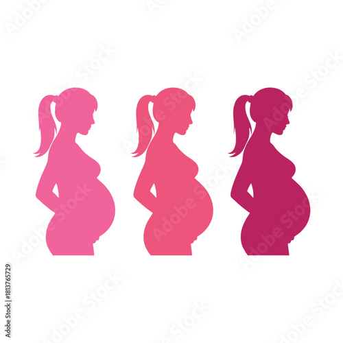 A visual representation of pregnancy progression showing silhouettes of a growing belly