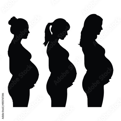 Silhouettes depicting the stages of pregnancy from early to full term