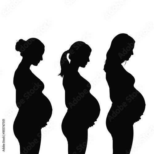 Silhouette progression of a woman s body through the stages of pregnancy