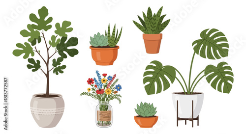 Illustration of Potted Plants and Flowers Arrangement in Various Pots