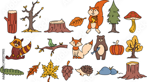 A charming collection of hand-drawn autumn forest animals and natural elements isolated on a white background.