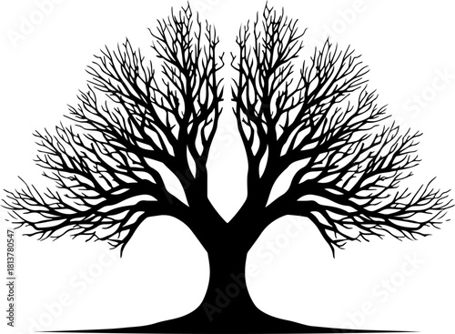 tree silhouette, big tree silhouette, branching tree, oak tree silhouette, large tree vector, leafless tree, winter tree, nature silhouette, forest tree, woodland tree, detailed tree, intricate branch
