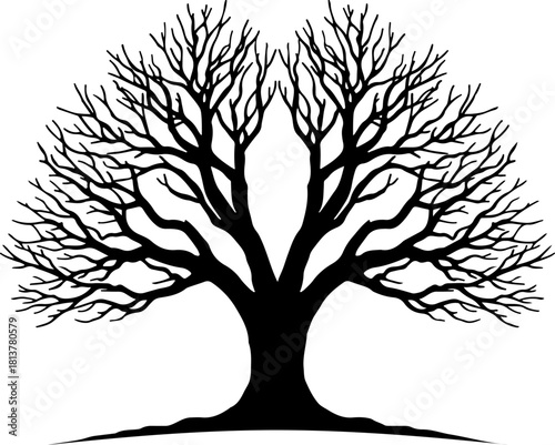 tree silhouette, big tree silhouette, branching tree, oak tree silhouette, large tree vector, leafless tree, winter tree, nature silhouette, forest tree, woodland tree, detailed tree, intricate branch