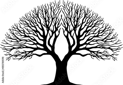 tree silhouette, big tree silhouette, branching tree, oak tree silhouette, large tree vector, leafless tree, winter tree, nature silhouette, forest tree, woodland tree, detailed tree, intricate branch