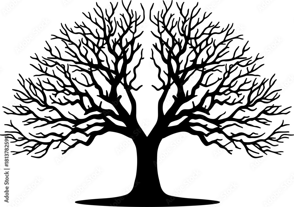 Obraz premium Black bare tree vector silhouette icon