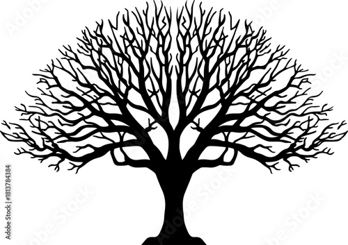 Twin Tree Silhouette
