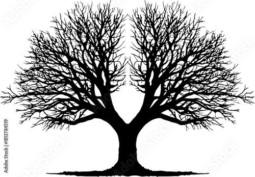 Twin Tree Silhouette
