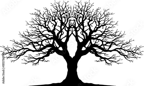 Tree silhouette, tree svg, tree clipart, tree bundle, tree vector, nature silhouette, forest silhouette, tree outline, tree cut file, nature svg, woodland svg, tree png, tree eps, tree dxf, tree ai, t