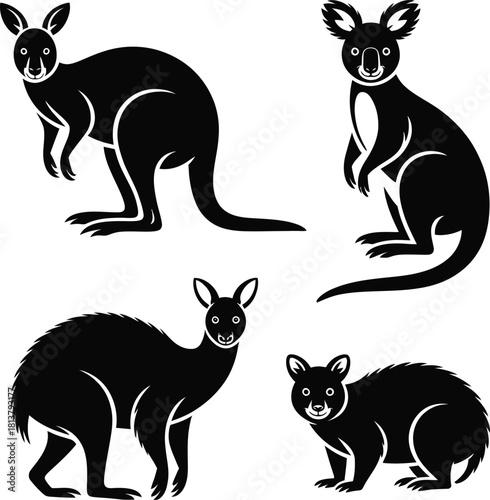 Australian animals vector illustration kangaroo koala wallaby quokka