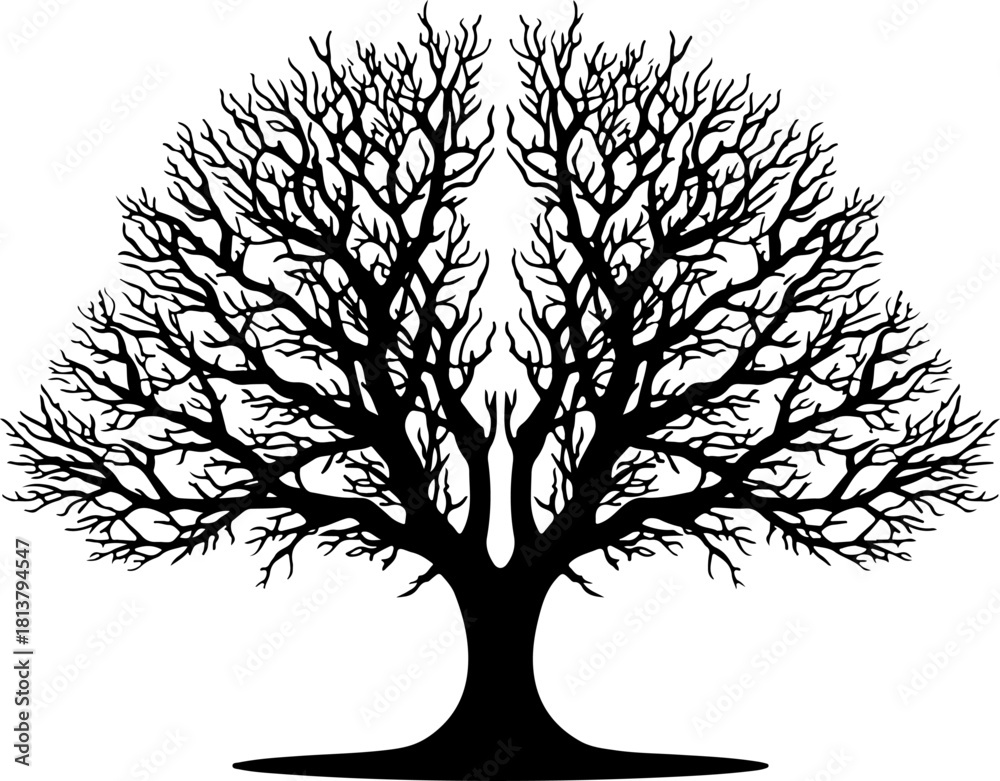 Fototapeta premium Bare tree, black silhouette, tree icon, vector tree, leafless tree, minimalist design