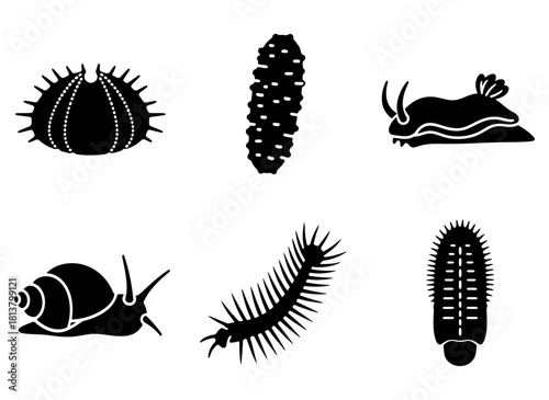 Diverse invertebrate creatures silhouette collection, featuring marine and terrestrial life forms as simple vector icons
