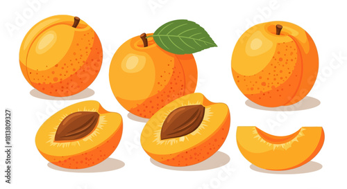 Vibrant vector illustration of fresh ripe orange apricots, whole, halved with pit, and a single juicy slice