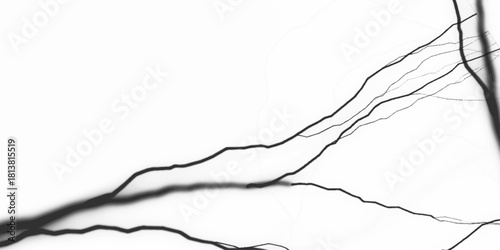 Abstract toxic black lightning sparks, glowing effect on white background, Glowing neon lines intertwine and flow across a dark, textured surface, creating a futuristic and energetic atmosphere.