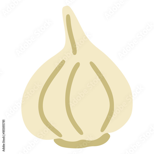 Garlic bulb vector illustration for cooking ingredients
