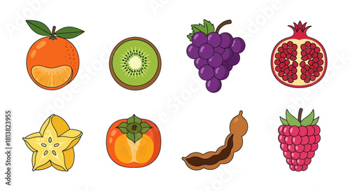 Assortment of fresh fruits orange kiwi grapes pomegranate and more