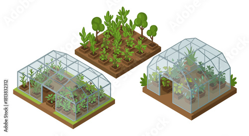 Isometric greenhouse and garden beds with growing vegetables and plants