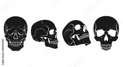 Skull Silhouette Vector Illustration Showing Front, Side, Angled, and Stylized Views in Minimal Design Style

