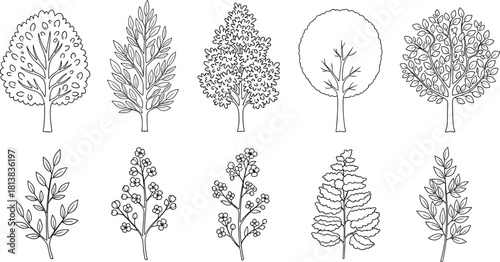 Hand drawn collection of decorative trees and botanical branches in black outline style perfect for nature themed illustration garden design and landscape projects