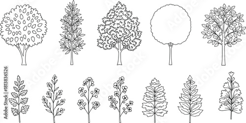 Hand drawn collection of trees and botanical branches in black outline style offering decorative nature elements for garden illustration and landscape design projects