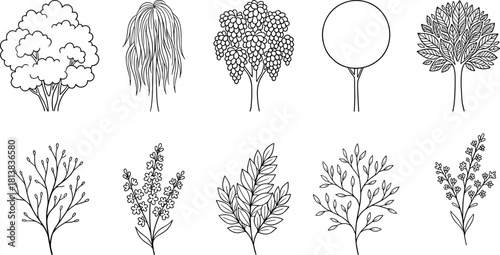Hand drawn collection of trees and floral branches in black outline style botanical vector illustration for natural decorative design and garden elements