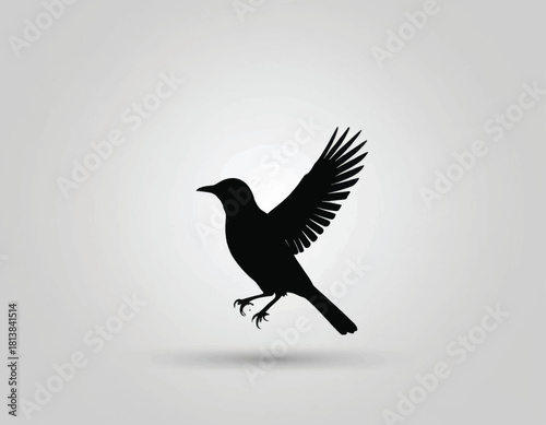 Silhouette of a bird in flight with wings spread wide.