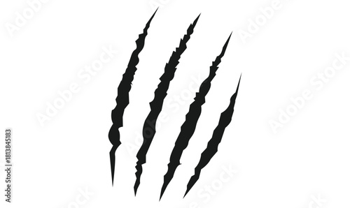 Animal silhouette claw paw marks, tiger, dog, lion, monster, scratches, talons cuts cat, tiger, isolated on transparent background.
