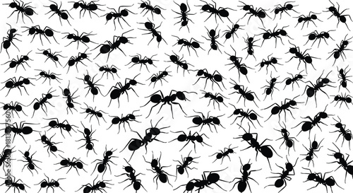Ant silhouette pattern, black white vector, insect icon, crawling ants design, nature bug texture, wildlife swarm, entomology art concept