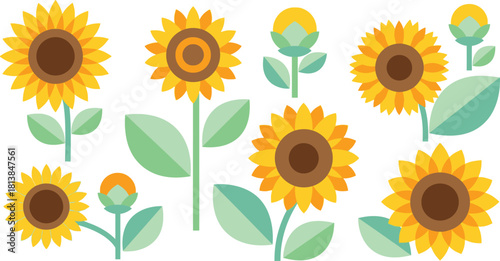 Collection of cheerful and vibrant sunflowers in various stages of bloom showcasing bright yellow petals and green leaves against a white background