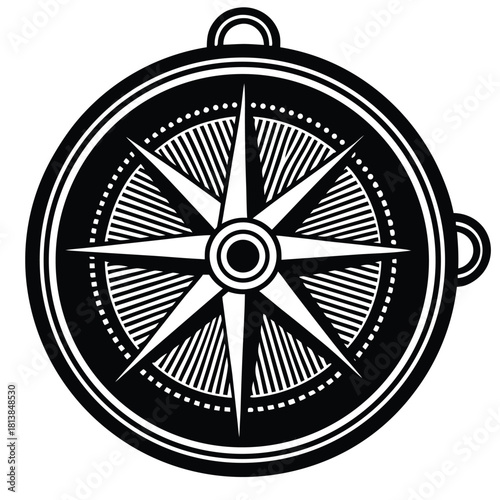 An Isolated Vector of a Magnetometer (Compass Sensor Device), for measuring magnetic fields and direction.