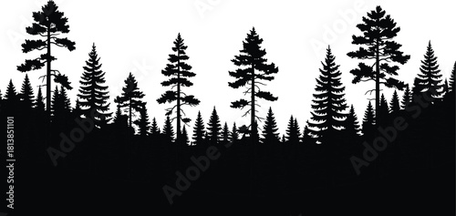 Forest silhouette, pine trees, fir trees, black and white, nature landscape, woodland art, conifer forest, minimal design, tree shadows, scenic view