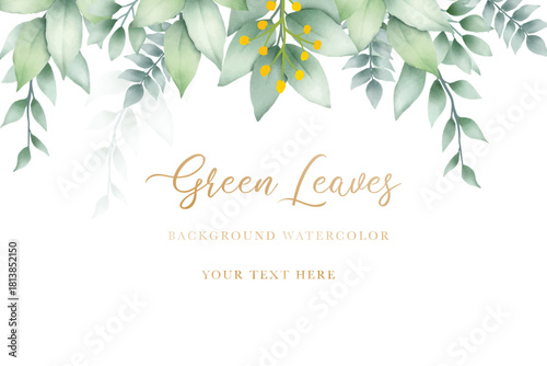 Watercolor green leaf background design. Can be used for weddings, birthdays and other events