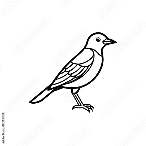 Black silhouette vector illustration of a wild crow on a branch