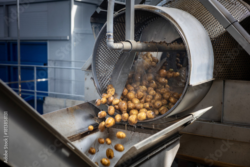 Pre-washed potatoes enter a final washing drum at a high-quality starch production plant. Water jets spray the tubers as the perforated stainless steel drum rotates and tumbles them.
