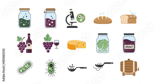 Fermentation Process Food Science Microorganisms and Products.