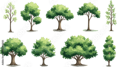 Collection of Various Green Forest Trees Vector Illustration for Nature Landscape and Game Environment Design (15 words)