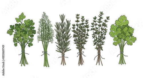 Several bunches of different herbs tied together isolated on white background.