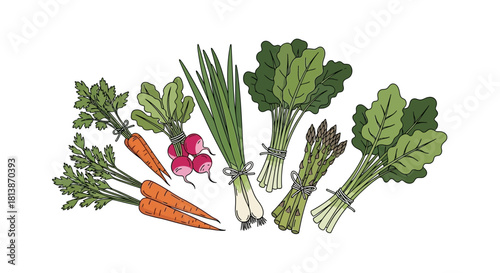 Fresh vegetables including carrots radishes onions asparagus and leafy greens.