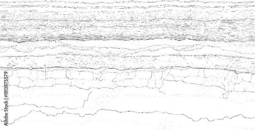 Abstract textured background with horizontal lines and cracked patterns in black and white vector