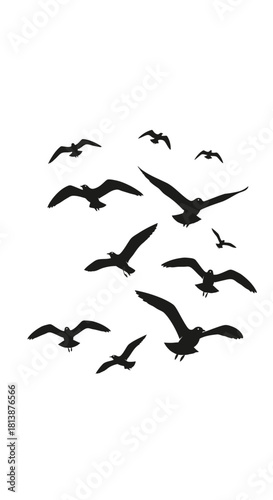 Silhouetted birds fly in a flock against a white background.