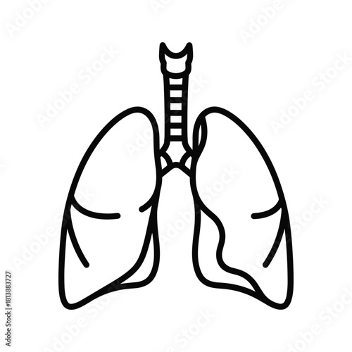 Hand drawn black outline check mark or tick icon, symbolizing approval, completion, or correctness, isolated on