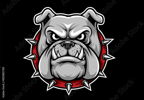 Powerful bulldog head logo vector illustration with an intimidating expression and spiked collar design