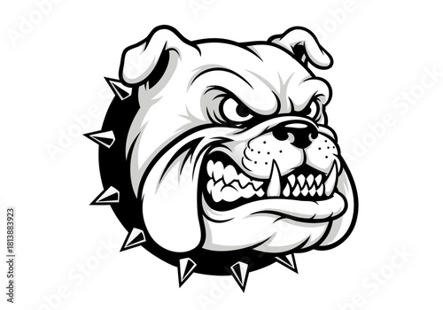Aggressive bulldog mascot logo design, a powerful vector illustration perfect for sports teams