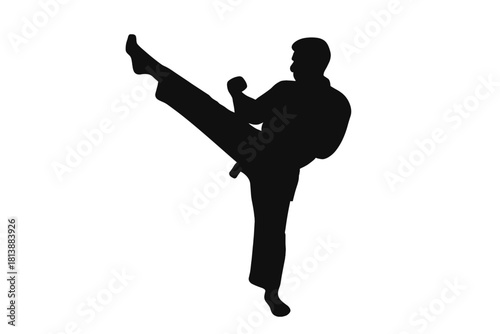 Dynamic silhouette of a martial arts athlete performing a powerful high side kick during training