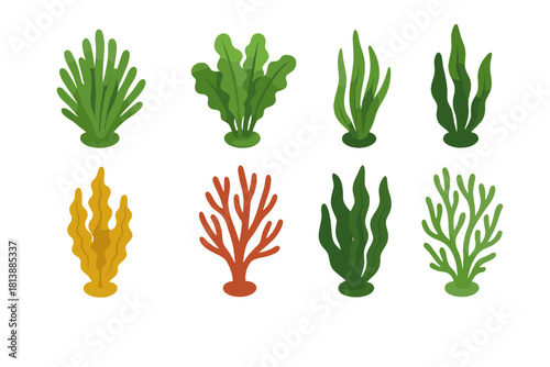 Colorful collection of various underwater plants and marine algae elements