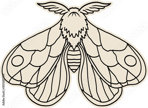 Celestial moth, butterfly line magic mystical tattoo. Universe wing moth. Celestial occult moon sketch. Line animal drawing design. Esoteric totem boho insect with space wings.