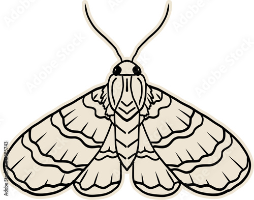 Celestial moth, butterfly line magic mystical tattoo. Universe wing moth. Celestial occult moon sketch. Line animal drawing design. Esoteric totem boho insect with space wings.