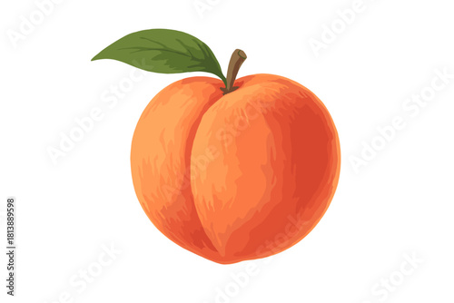 Ripe peach fruit with fuzzy skin and green leaf isolated on white background